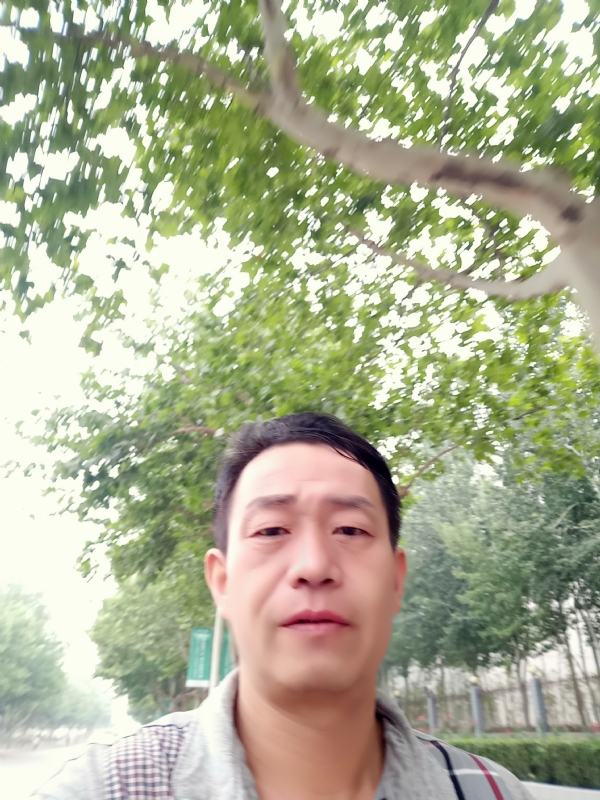 阳光的第一张照片--石家庄父母相亲团